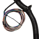 DRIVE BY CABLE DBC 1997-2006 LS1 STANDALONE WIRING HARNESS T56 or Non-Electric Trans